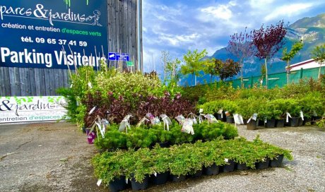 Vente de végétaux prêt à planter à Chambéry